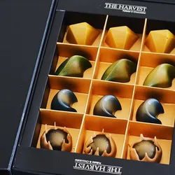 Chocolates & Praline